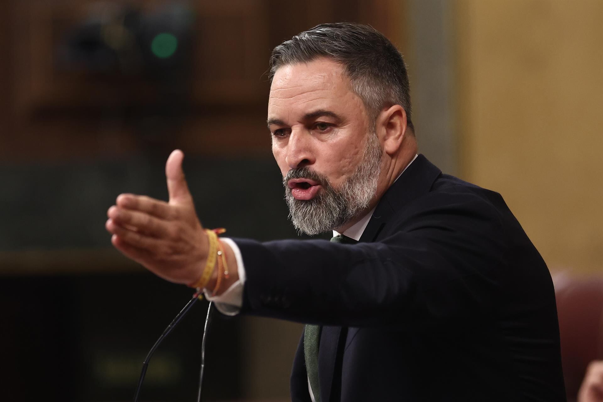 El líder de Vox, Santiago Abascal (Europa Press)