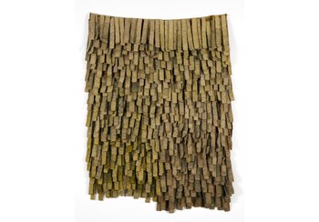 Una travesía visual que entreteje