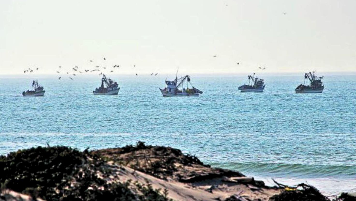 Solo falta el gol: el Perú, como líder regional pesquero