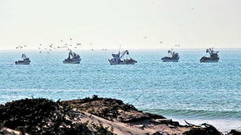 Nuevas reglas para la pesca