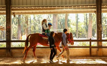 Luego de mucho trabajo, en