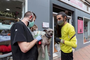 Fotografía de archivo que muestra