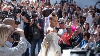 Céline Dion perdió el control