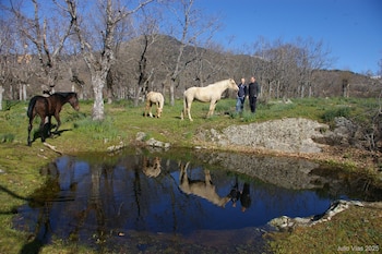 La Dehesa de los Arroyuelos,