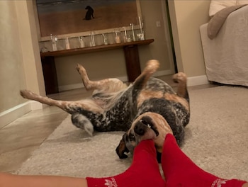 Imágenes sueltas, sin conexión, compartió