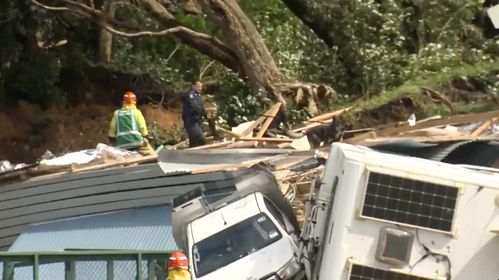 En esta imagen de un video, un oficial de policía con un perro registra a personas cerca del lugar de un deslizamiento de tierra en la base del Monte Maunganui en la Isla Norte de Nueva Zelanda el jueves 22 de enero de 2026. (TVNZ vía AP)