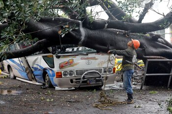 Un trabajador municipal observa un