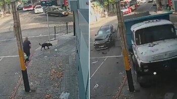 Paseaba a su perra y salvó su vida por diez segundos