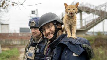 La Justicia francesa investiga la