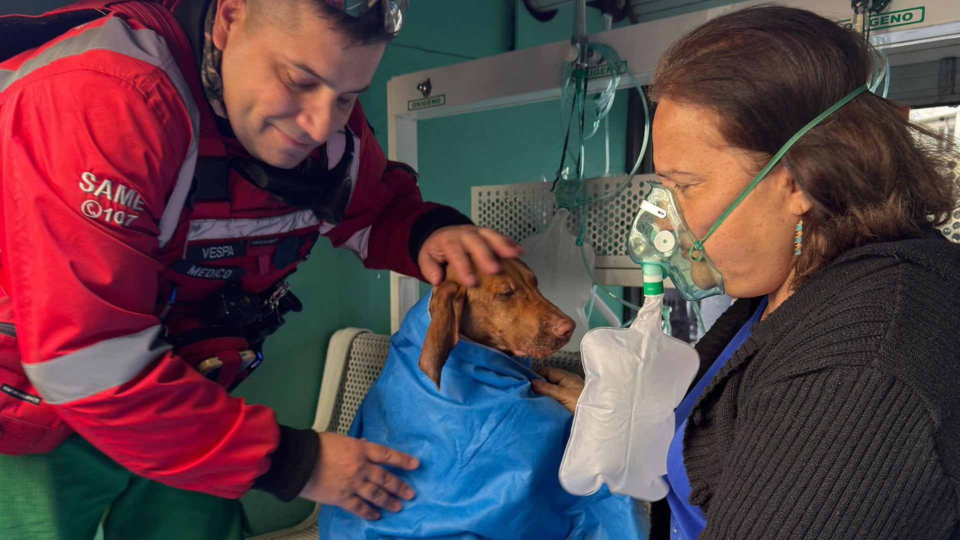 Dos mascotas fueron puestas a resguardo y oxigenadas.
