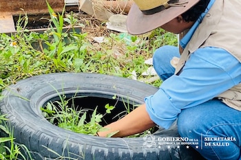 Jornadas de limpieza y fumigación contra el dengue en Honduras