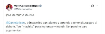 Mafe Carrascal señaló que no se iba a dejar de Daniel Briceño, su colega en Cámara de Representantes - crédito @MafeCarrascal/X
