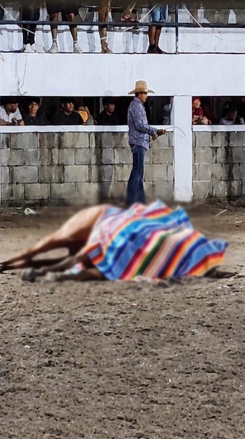 El caso de Panchimalco volvió a poner en el centro del debate el bienestar animal en las fiestas patronales.