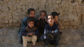 Más de 500 niños han