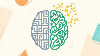 Ilustración plana de un cerebro dividido: la mitad izquierda muestra caminos rectos grises, la derecha, vías sinuosas verdes con moléculas amarillas. Fondo crema.