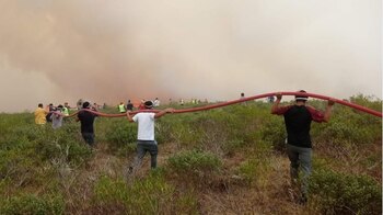 Los incendios forestales han afectado
