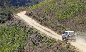 En 2023 aumentó el área