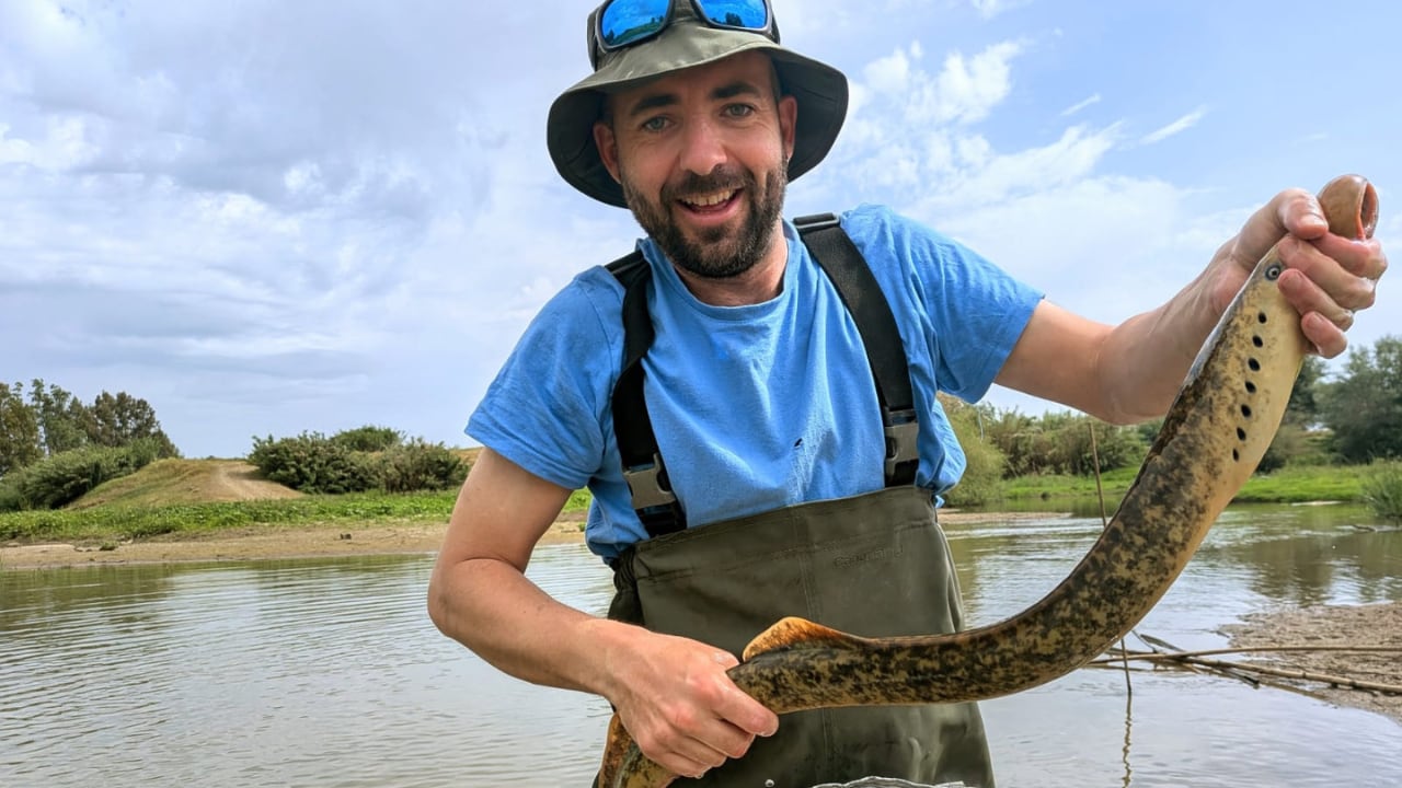 El investigador Sergio Bedmar junto a la lamprea capturada en la Rivera de Huelva. (Miguel Clavero/EBD-CSIC)