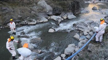 Prohíben consumo de truchas tras