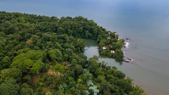 La vegetación exuberante y la