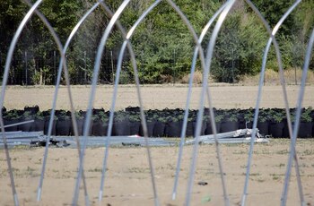 Se pueden ver bolsas de