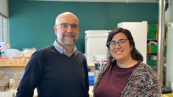 Ya son diez los pacientes que han logrado remitir el VIH: el último ha sido un hombre de 63 años, gracias a la donación de células madre de su hermano