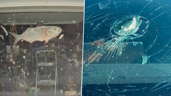 Expertos señalan que incidencias similares