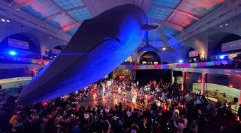 Las actividades de Día de