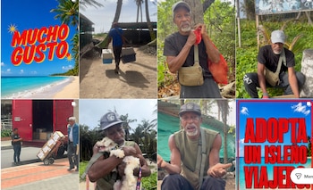 En redes suelen compartir todas las actividades que realizan con los animales - crédito kellan__sai / Instagram