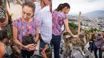 La ex Jefa de Gobierno