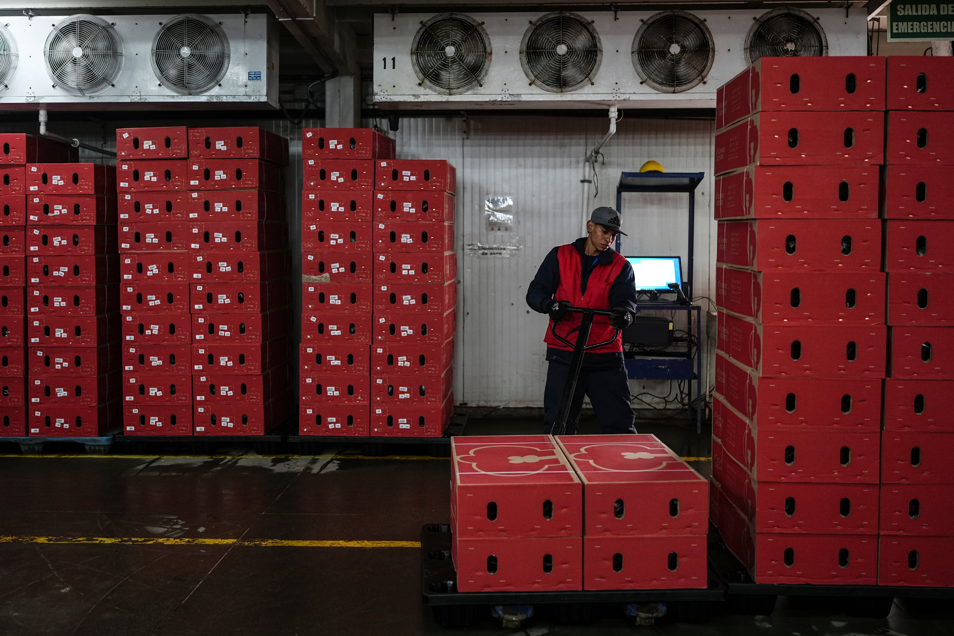 La elección en Brasil que Colombia sigue de cerca por su impacto en comercio y economía