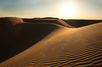 Amplio paisaje desértico con dunas de arena de color ocre en primer plano y al fondo. La luz del sol ilumina las crestas de las dunas