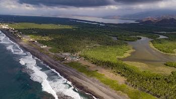 ¿Por qué buscan frenar la ampliación del puerto de Manzanillo? Esta es la protesta que ambientalistas llevaron a evento de Sheinbaum