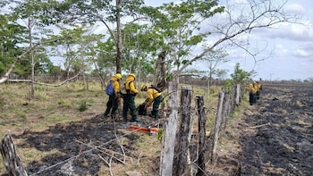 El sistema CONRED reporta 21 incendios forestales activos en Guatemala