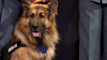 Ajax sirvió de forma destacada