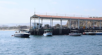 El establecimiento oficial de Los