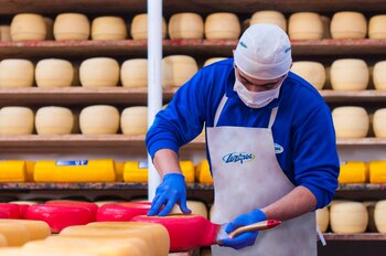 Crean en una ciudad de