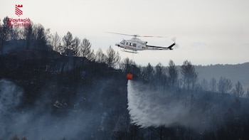 Incendio forestal de Lucena del Cid (DIPCAS)
