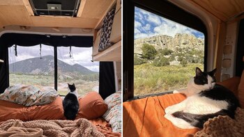 Nick y Chelsea comparten en