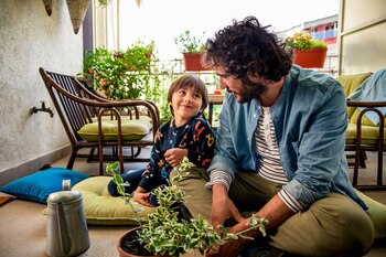 Jardineria cuidar plantas