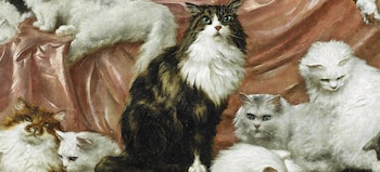 La mascota principal de la