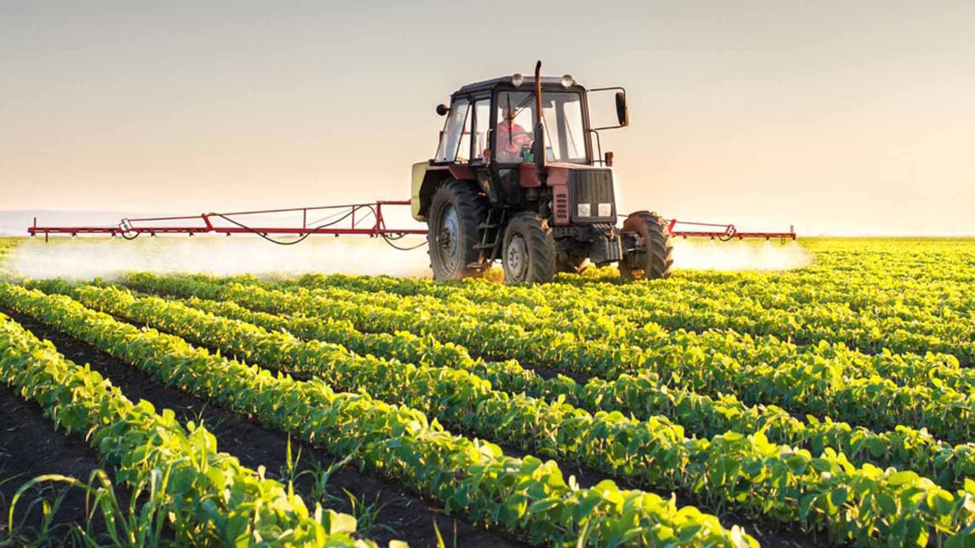 El dólar único beneficia a los productores argentinos al facilitar la compra de insumos y la venta de productos en un contexto sin brechas cambiarias