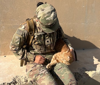 La joven sigue buscando la