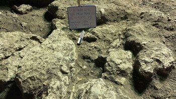 INAH descubre 26 entierros humanos