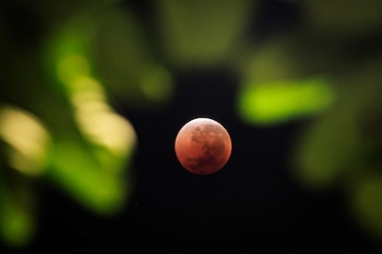 This photograph shows a view