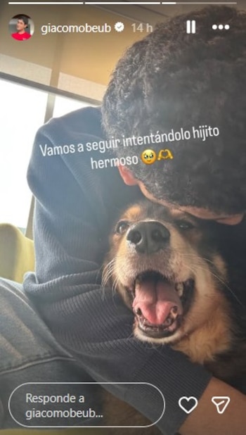 Giacomo Benavides conmocionado por el