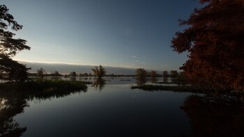 El intendente de San Pedro