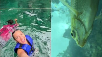 En el video, se puede