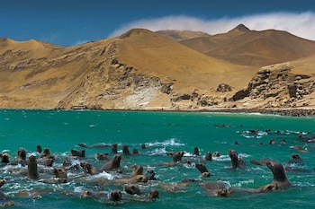 La Reserva Nacional de Paracas