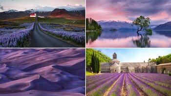 Dónde encontrar el color Pantone